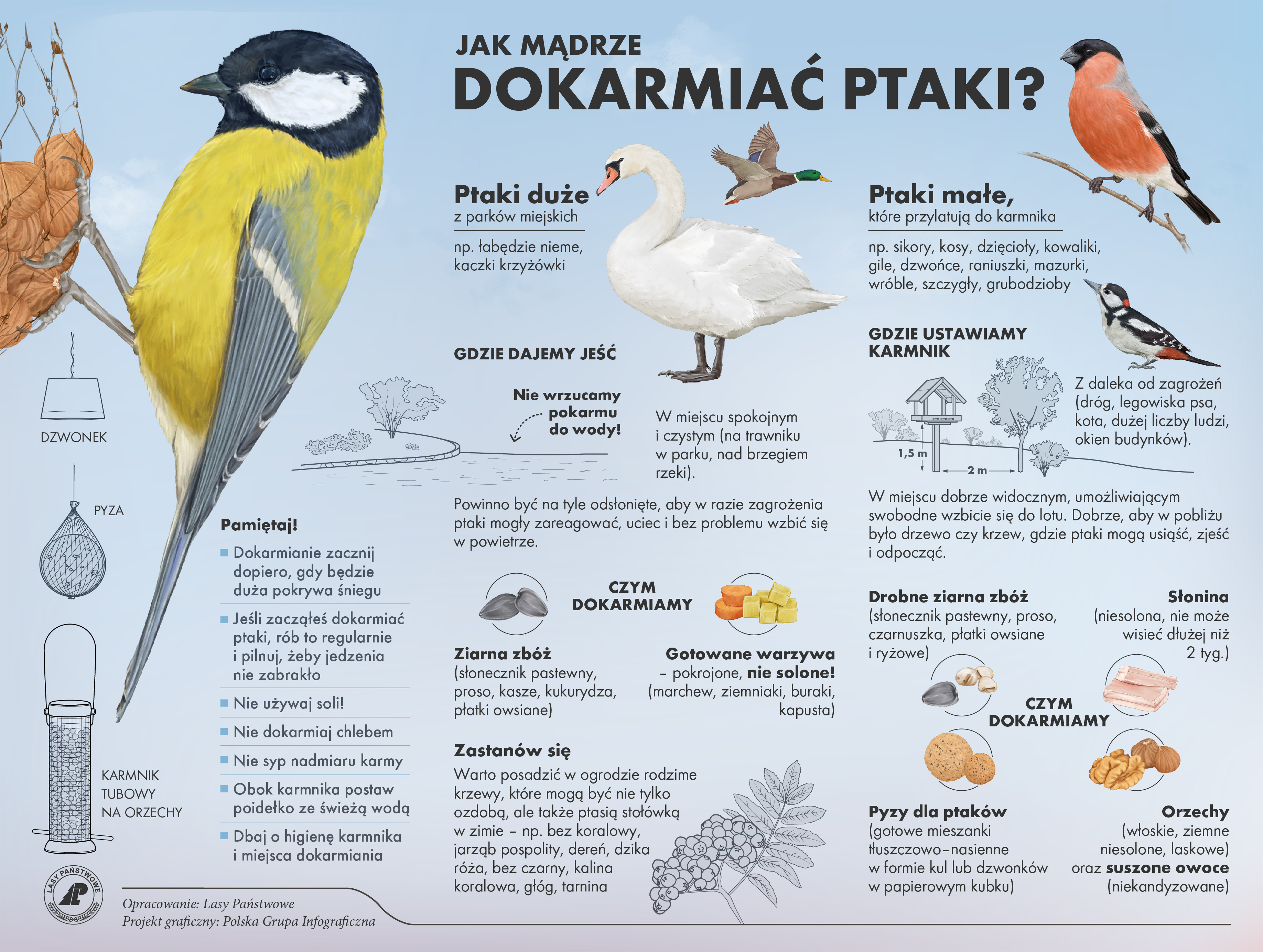 Infografika o dokarmianiu ptaków