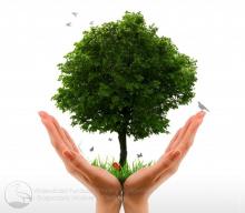 Akcja wiosennego sprzątania świata