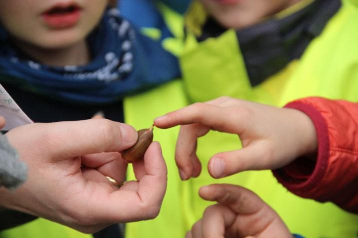 fot. arch. Nadleśnictwa Maskulińskie