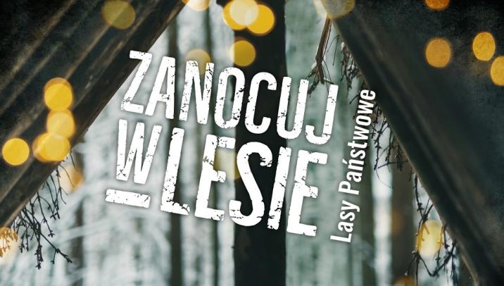 logotyp Programu "Zanocuj w lesie"