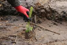 Zakończenie akcji odnowieniowej