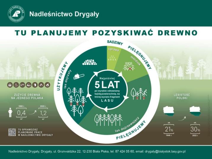 Infografika&#x20;tu&#x20;planujemy&#x20;pozyskiwać&#x20;drewno