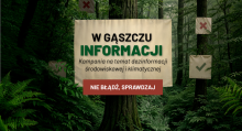 PBS dla Lasów Państwowych: 21% Polaków sądzi, że drewno można pozyskać nie wycinając drzew