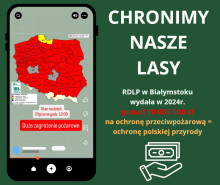 CHRONIMY NASZE LASY