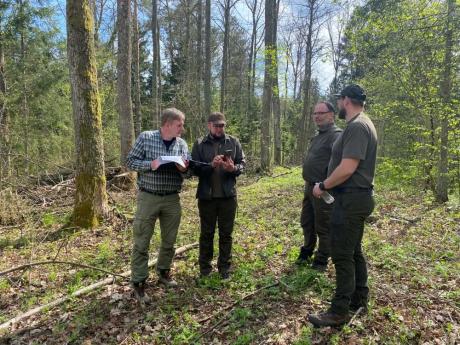 Certyfikacja Gospodarki leśnej w RDLP w Białymstoku