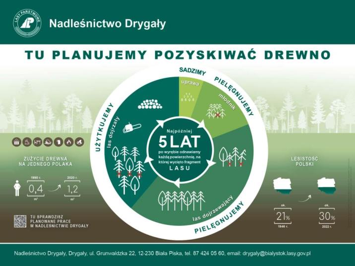 Infografika tu planujemy pozyskiwać drewno