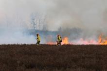 Działamy dla wrzosowisk